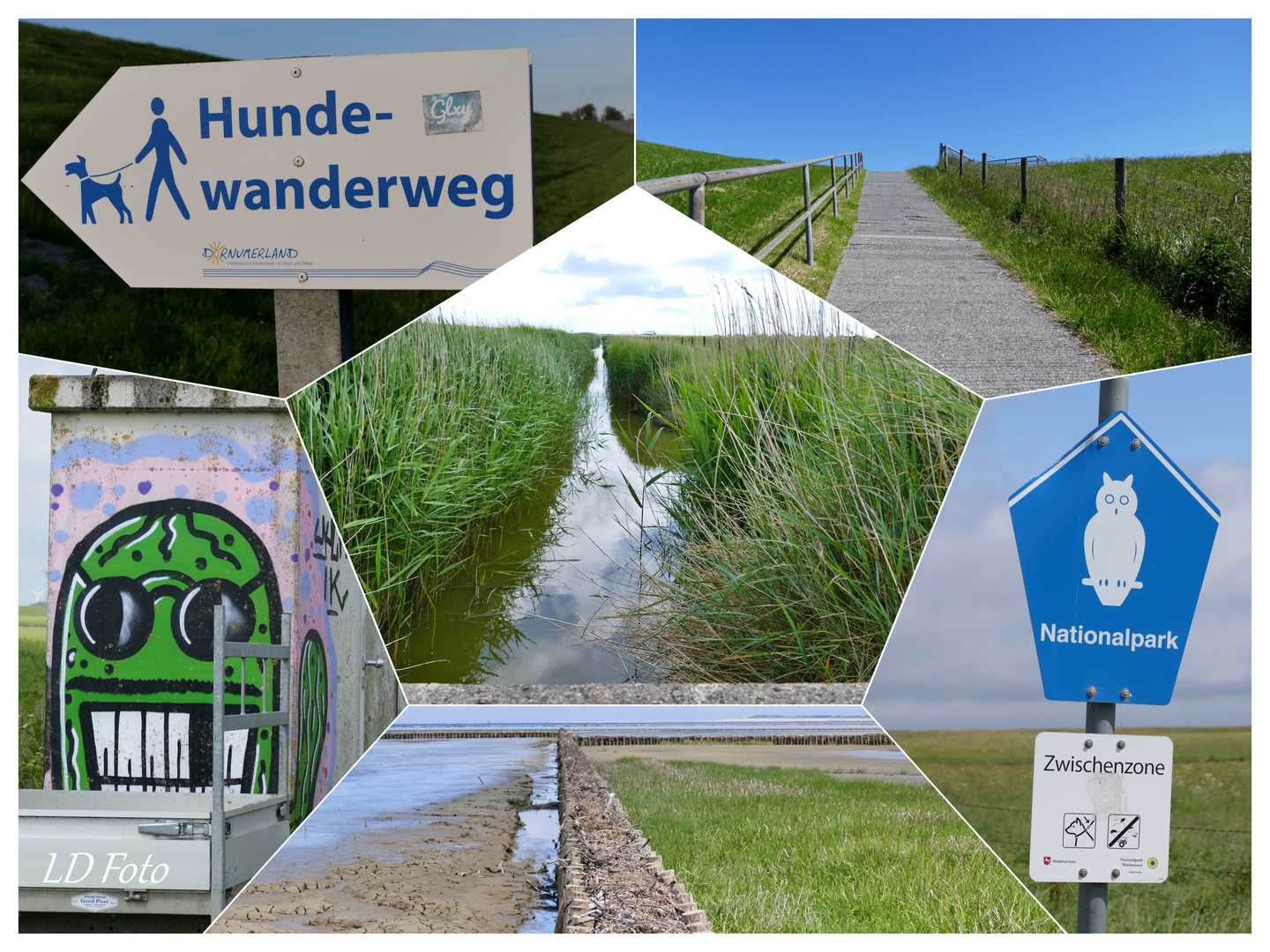 Dornumersiel Hundewanderweg