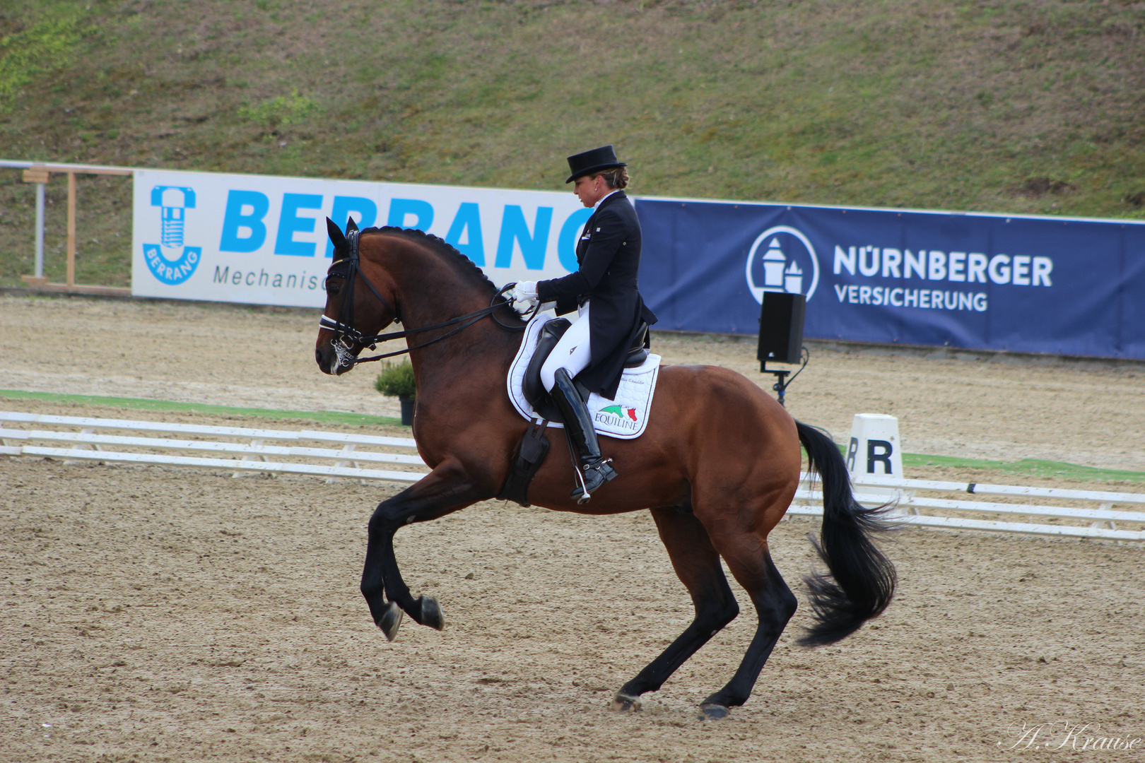 Dorothee Schneider in Mannheim