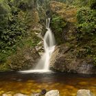 Dorothy Falls bei Hokitika (West Coast - Neuseeland)