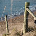 Dorset beach on New Year's Day