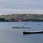 Dorset Coast