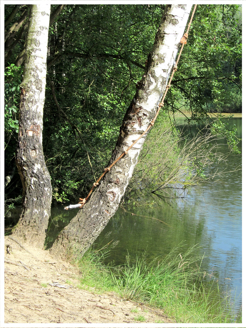 dort haengt sogar ein Seil zum rein schwingen !