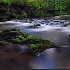 Dort höre ich nur das Rauschen des Wassers II