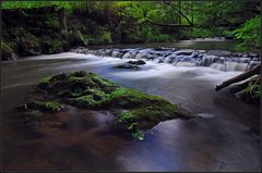 Dort höre ich nur das Rauschen des Wassers II