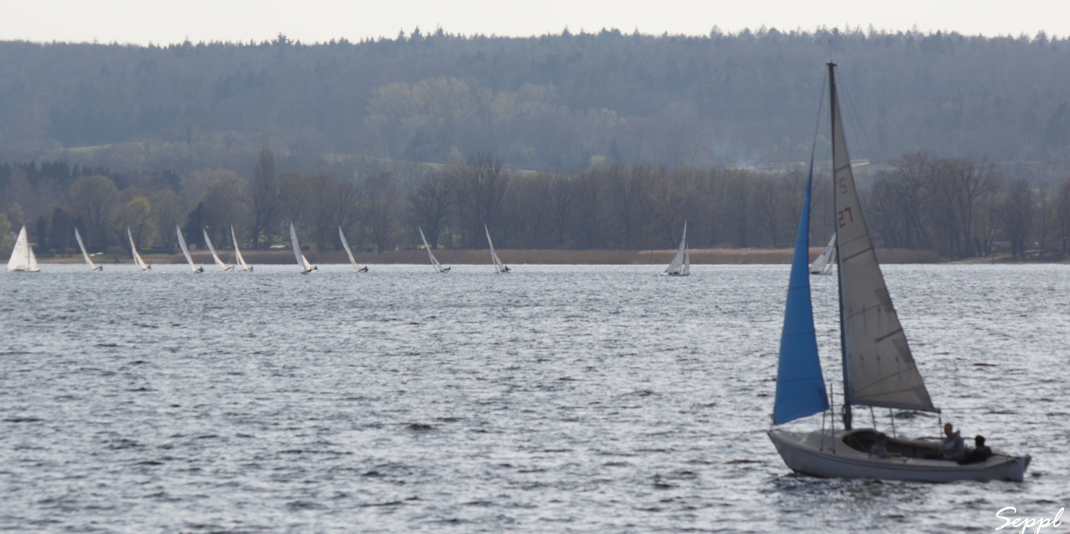 Dort ist unsere Regatta, Skipper!?!