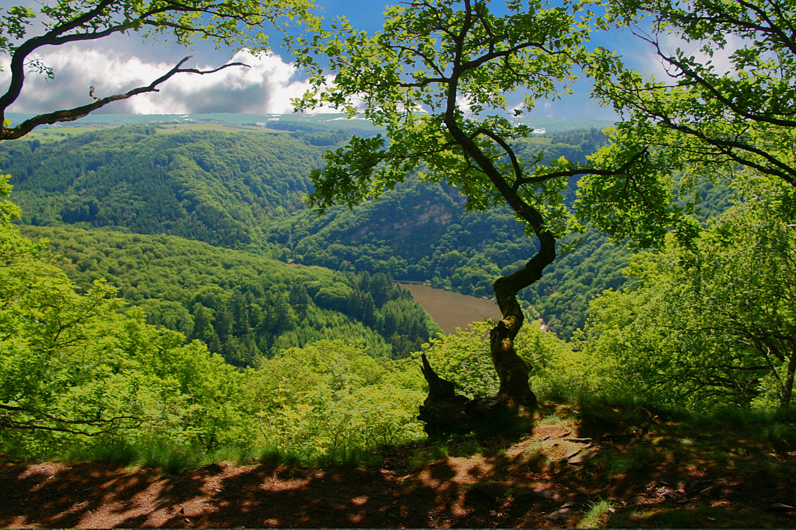 Dort unten im Tal fließt die Saar