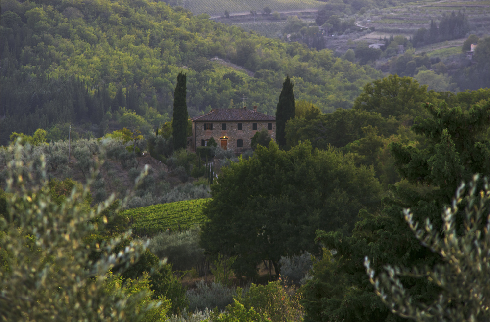 Dort wo der Chianti wächst