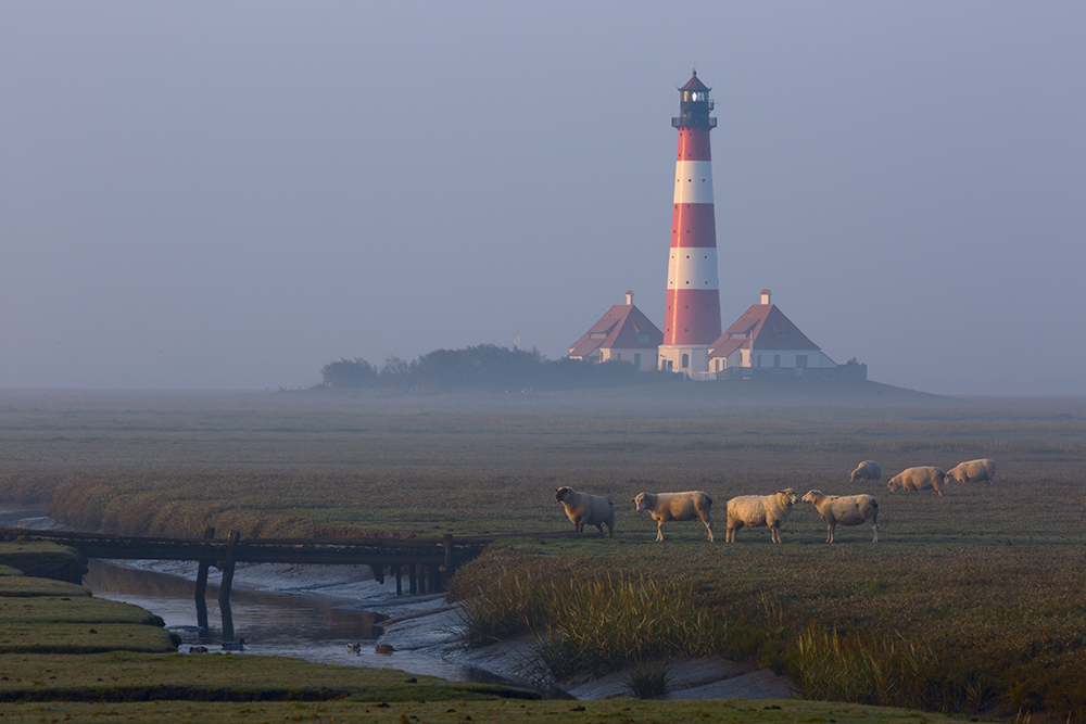 Dort wo der Leuchtturm Zuhause ist ...