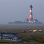 Dort wo der Leuchtturm Zuhause ist ...