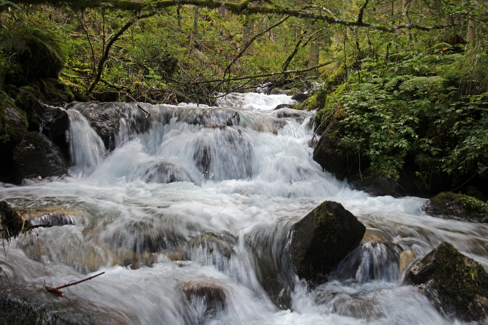 Dort wo der Wildbach rauscht...