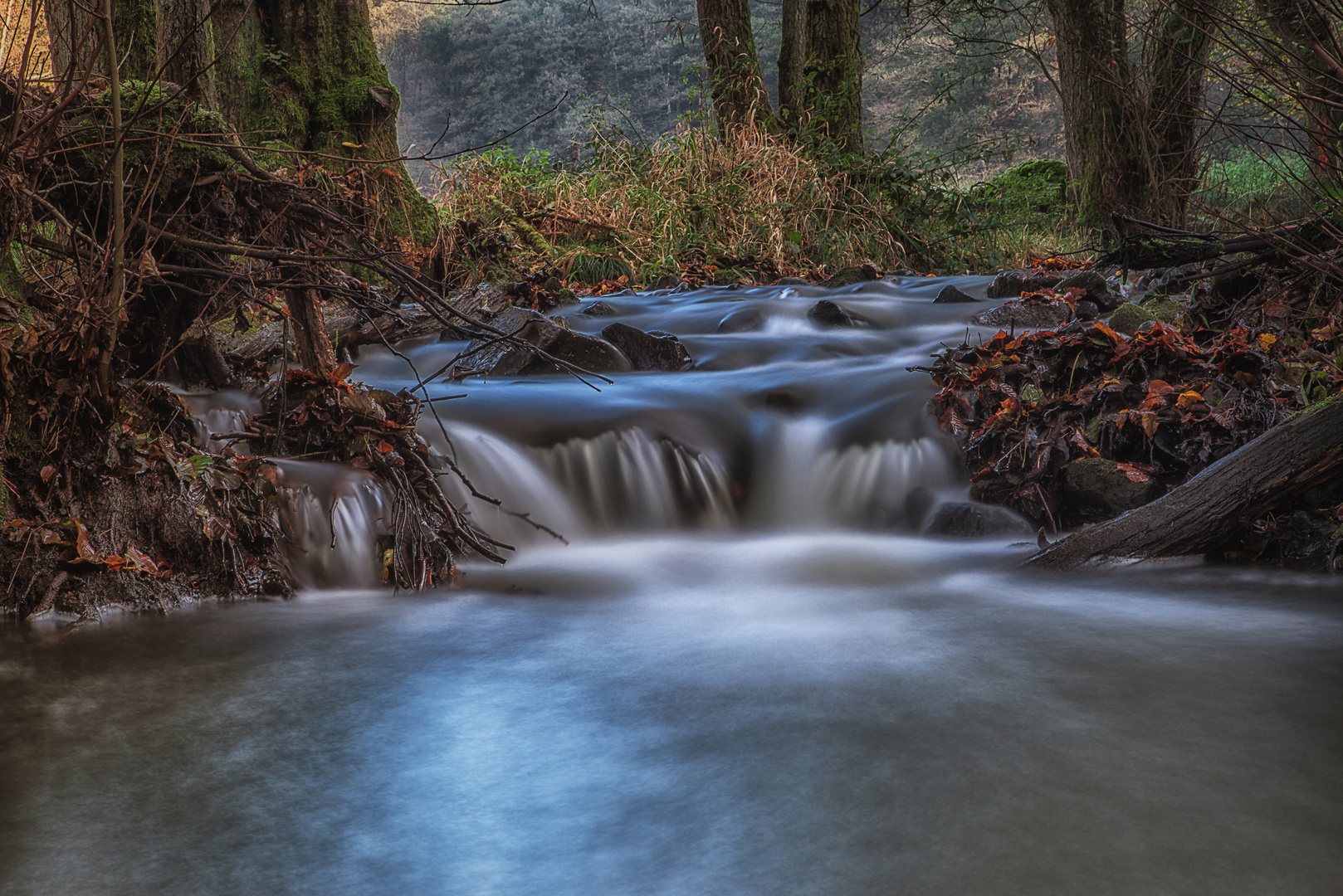 Dort wo der Wildbach rauscht..