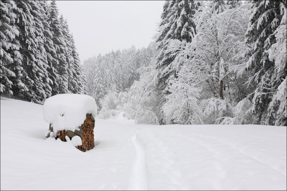 Dort wo der Winter schön ist...