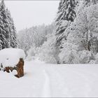 Dort wo der Winter schön ist...