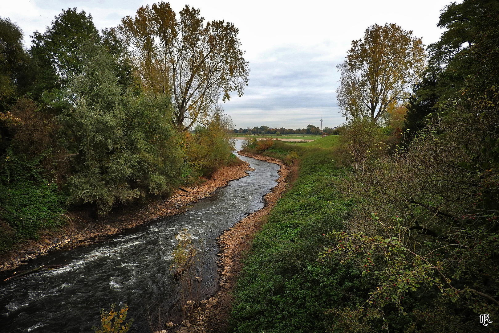 Dort wo die Erft den Rhein begrüßt