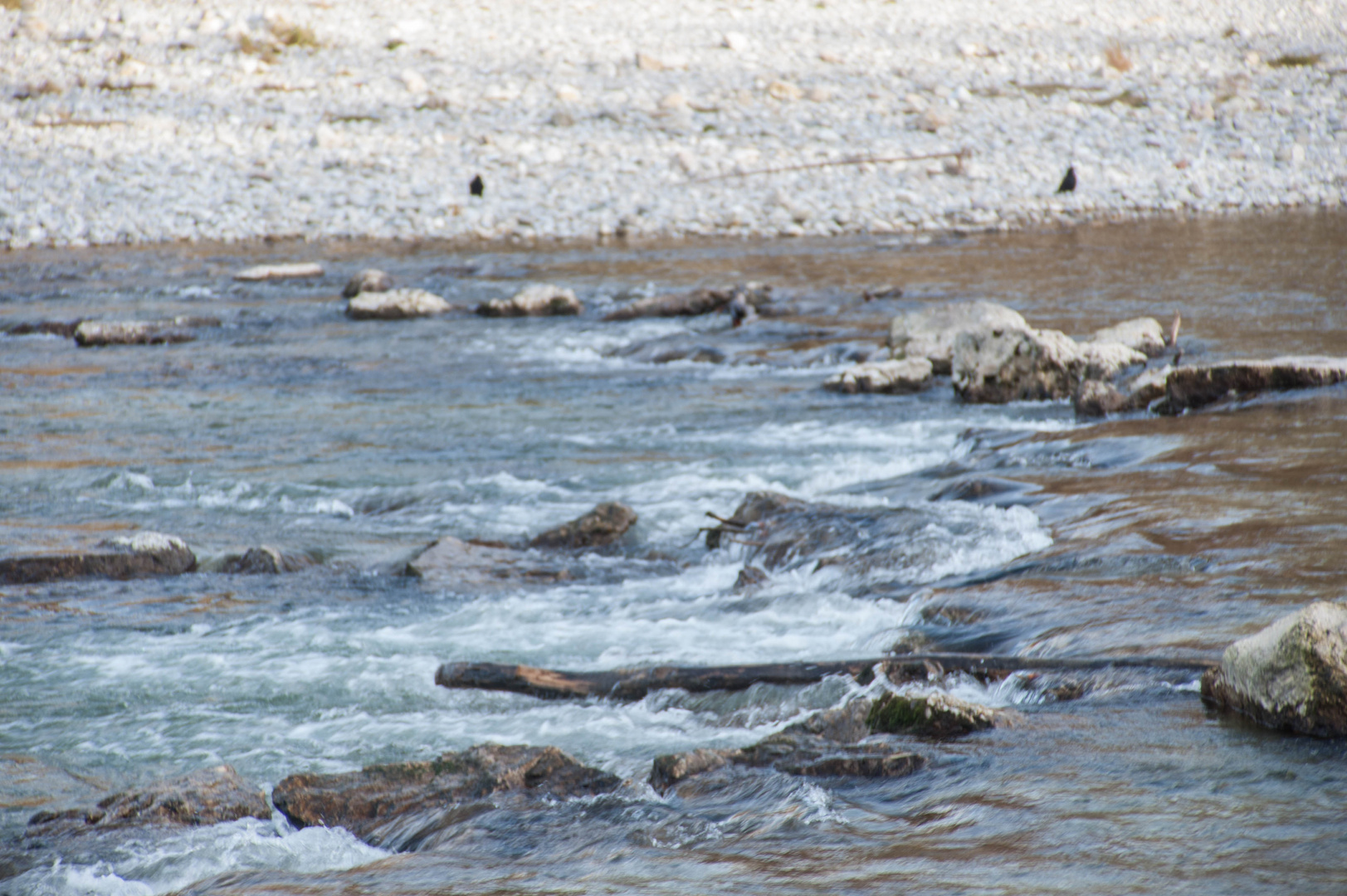 dort wo die isar rauscht