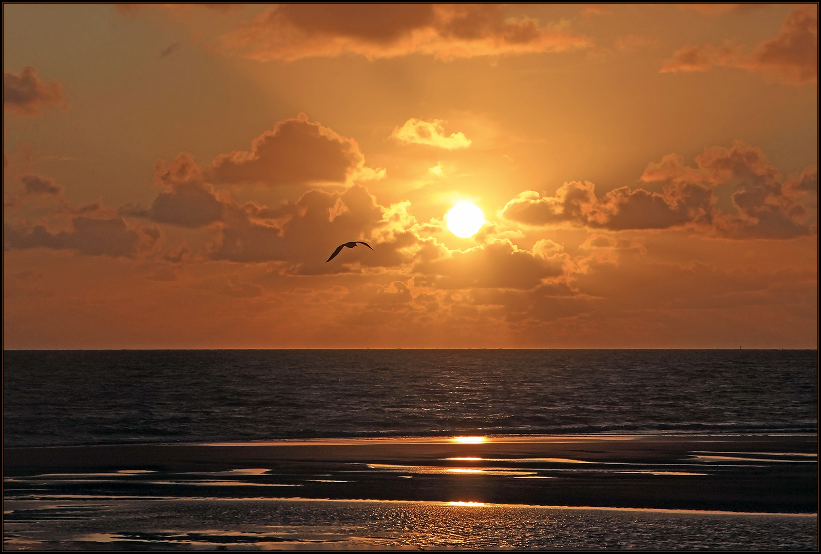 ...dort zu steh´n, im goldenen Licht... (keine Fotomontage, s. Diskurs)