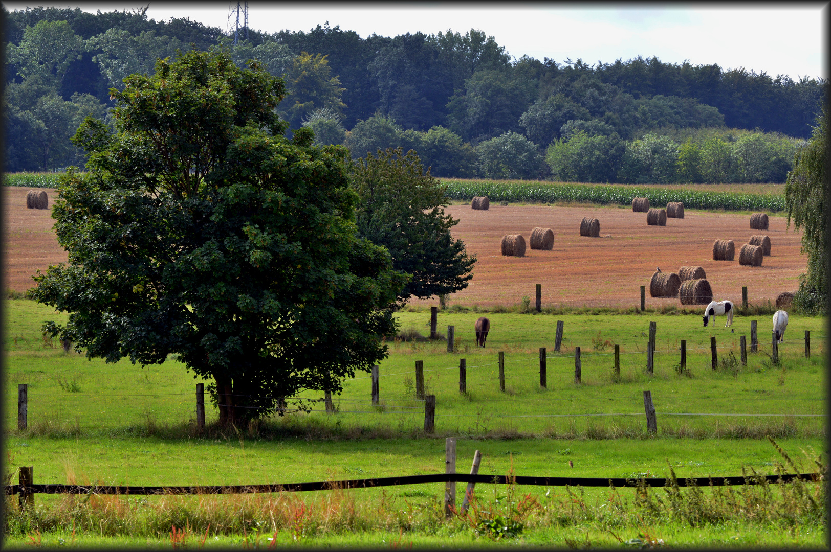 Dortmund Löttringhausen Natur pur II Foto & Bild landschaft, Äcker