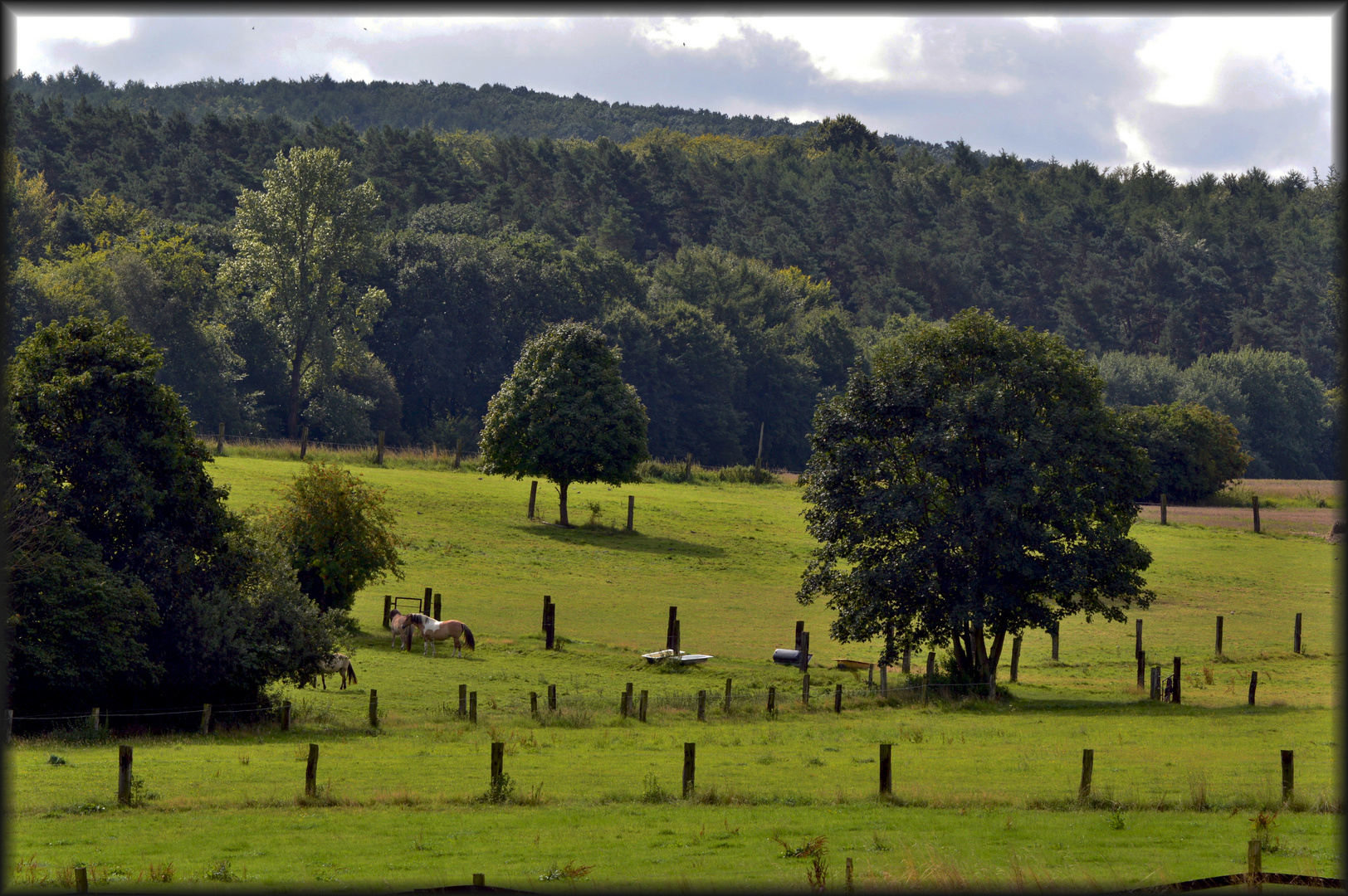 Dortmund Löttringhausen....Natur pur...