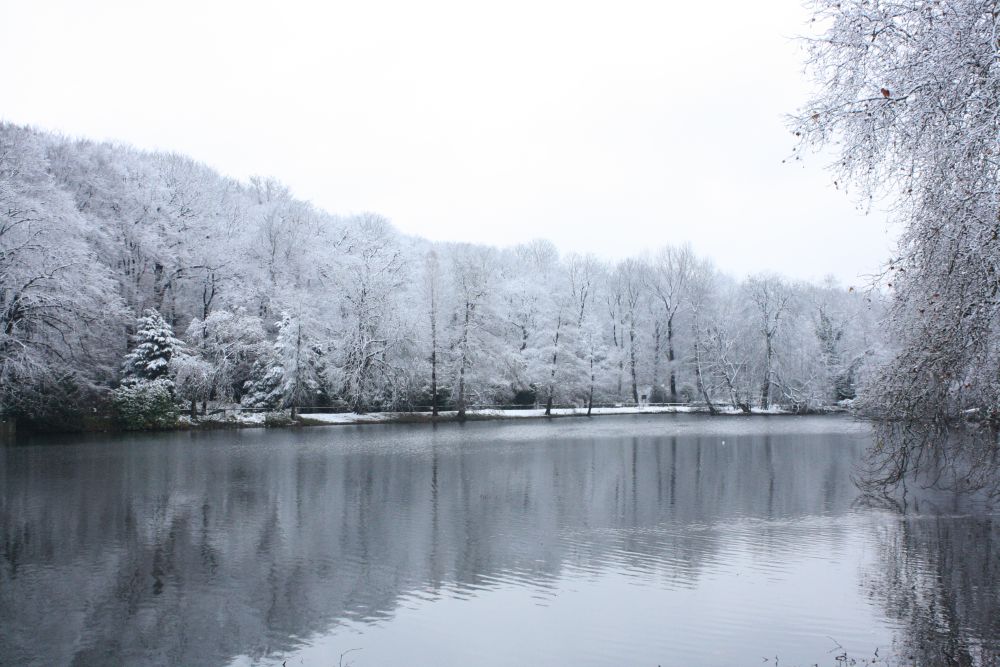 Dortmund - Rombergpark