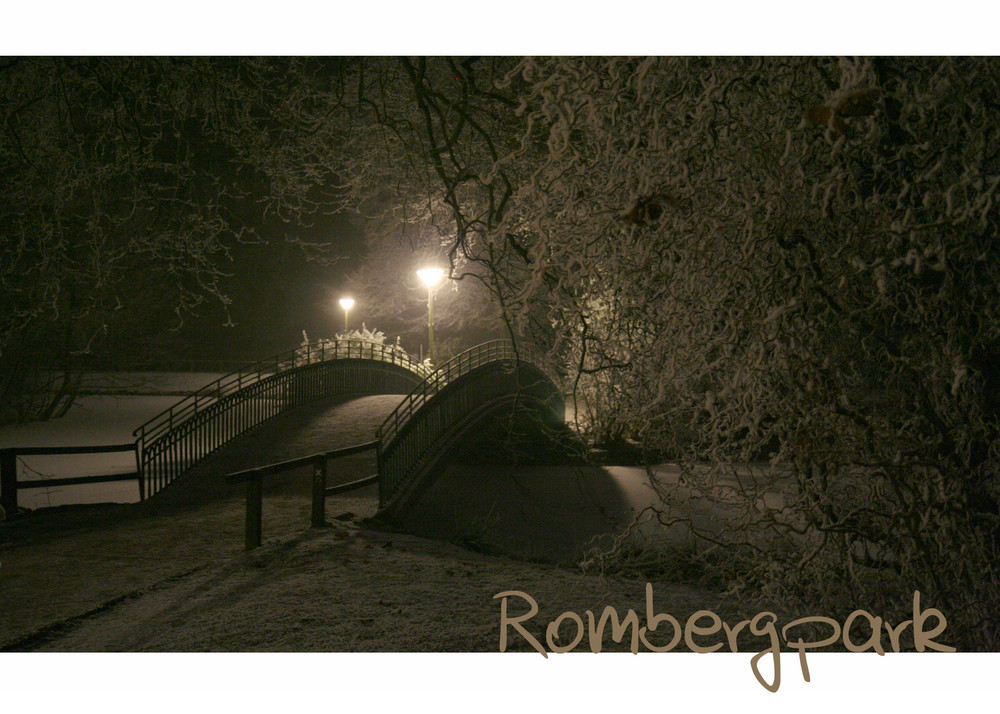 Dortmund - Rombergpark im Winter