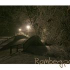 Dortmund - Rombergpark im Winter