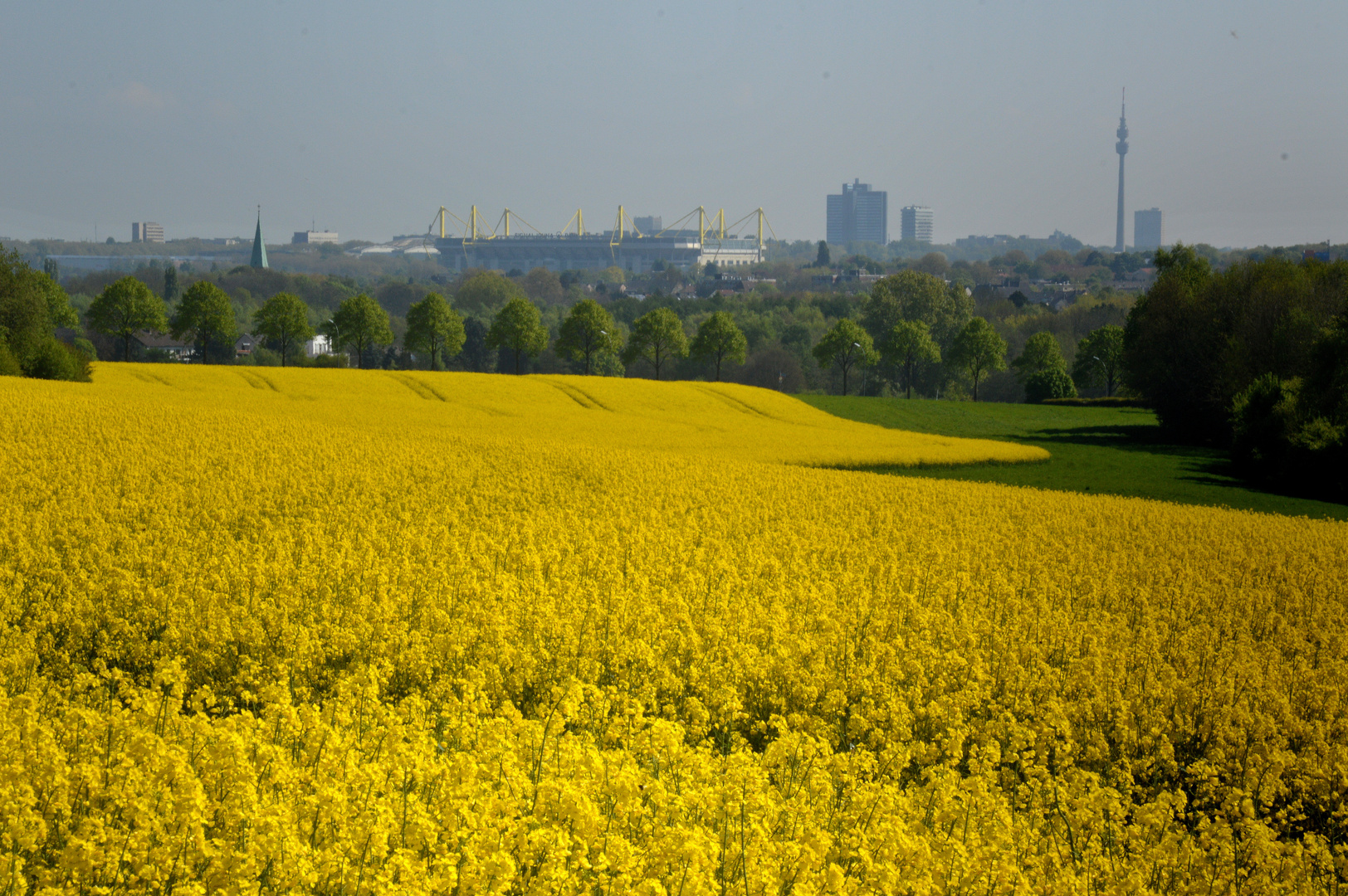 Dortmund trägt gelb