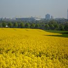 Dortmund trägt gelb