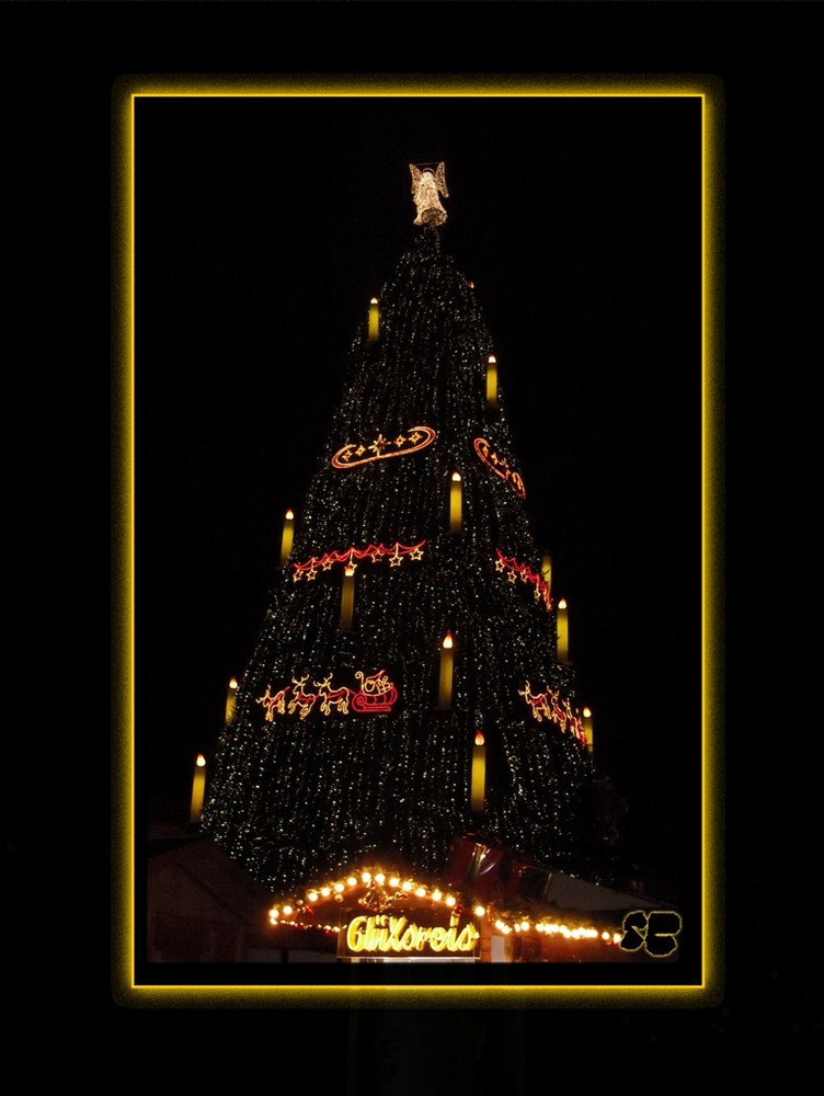 >>>Dortmund und "sein größter Weihnachts- Baum" <<<