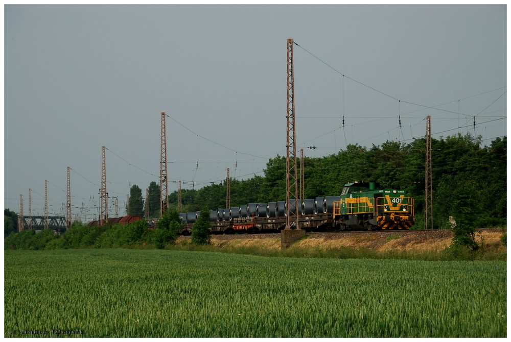 Dortmunder Eisenbahn bei Selmig ...