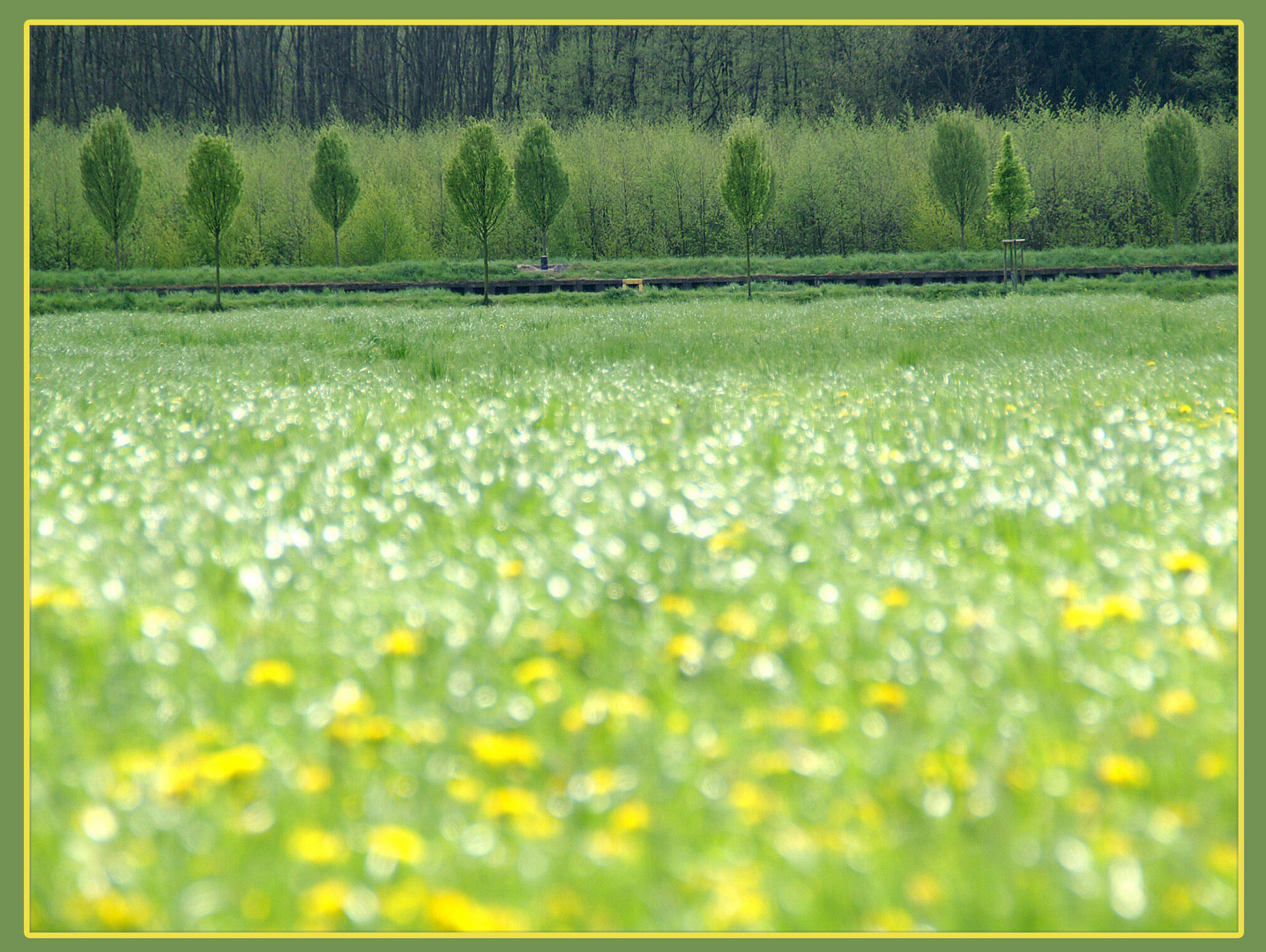 Dortmunder Frühling