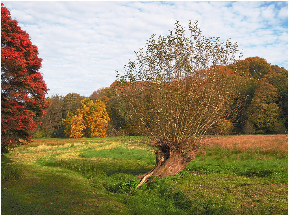 Dortmunder Herbst 1