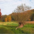 Dortmunder Herbst 1