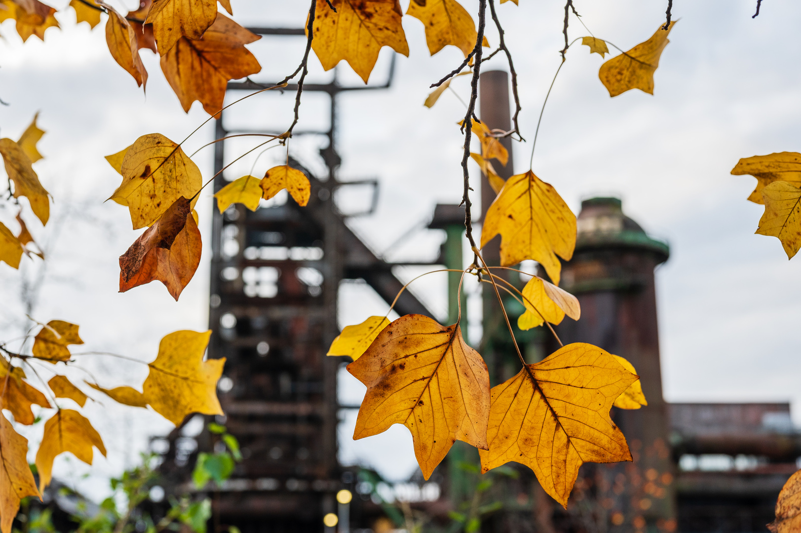 Dortmunder Herbst