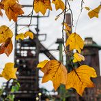 Dortmunder Herbst