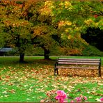 Dortmunder Rombergpark