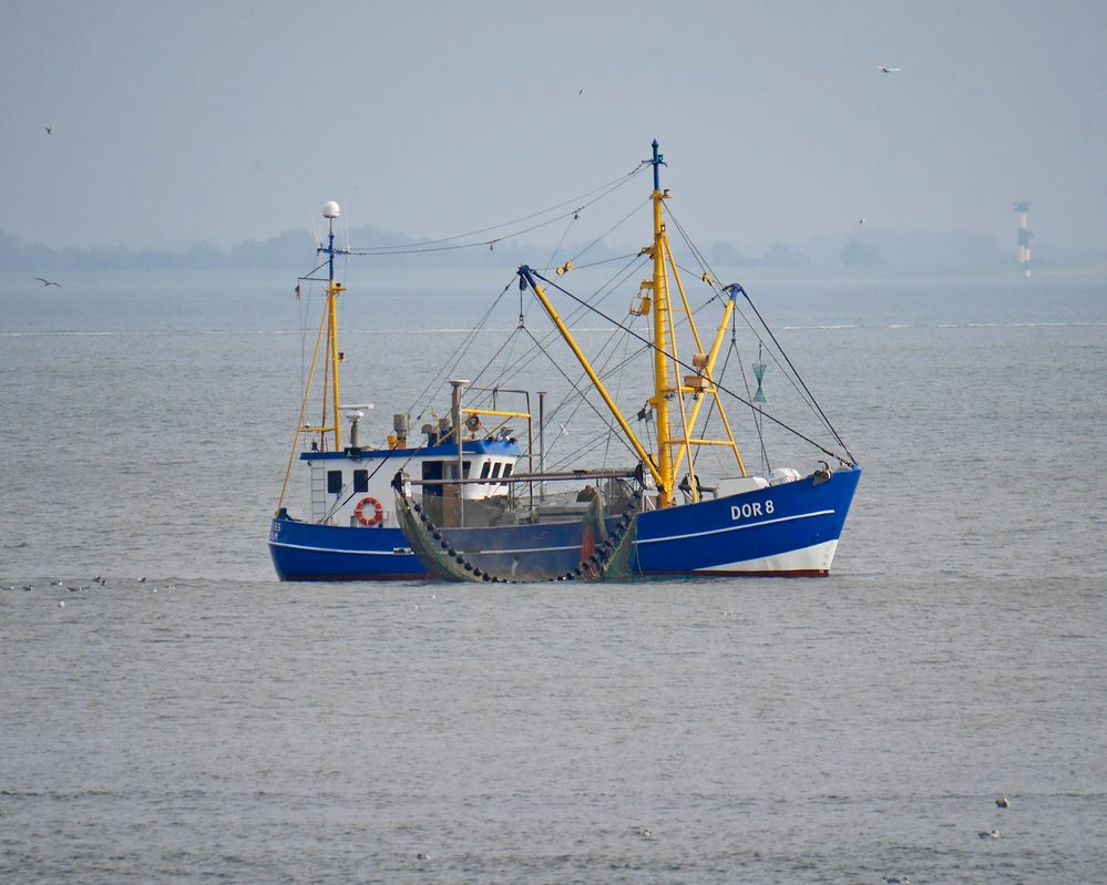 Dorumer Fischkutter reinigt seine Netze vor Cuxhaven