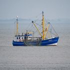 Dorumer Fischkutter reinigt seine Netze vor Cuxhaven