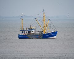 Dorumer Fischkutter reinigt seine Netze vor Cuxhaven