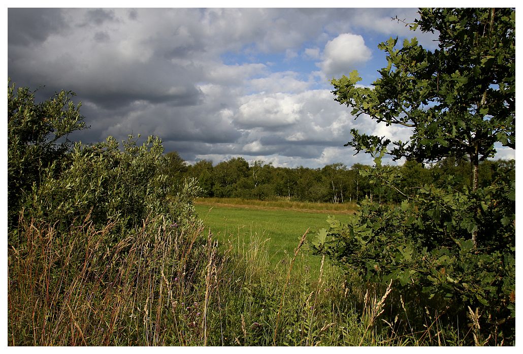 Dorumer Moor, Pipinsburg