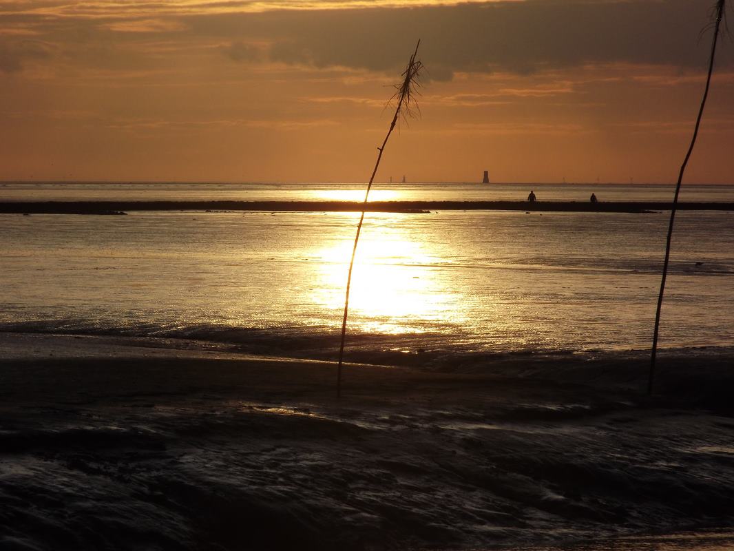 Dorumer Watt in der Abenddämmerung