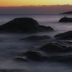 Dos gaviotas en el mar