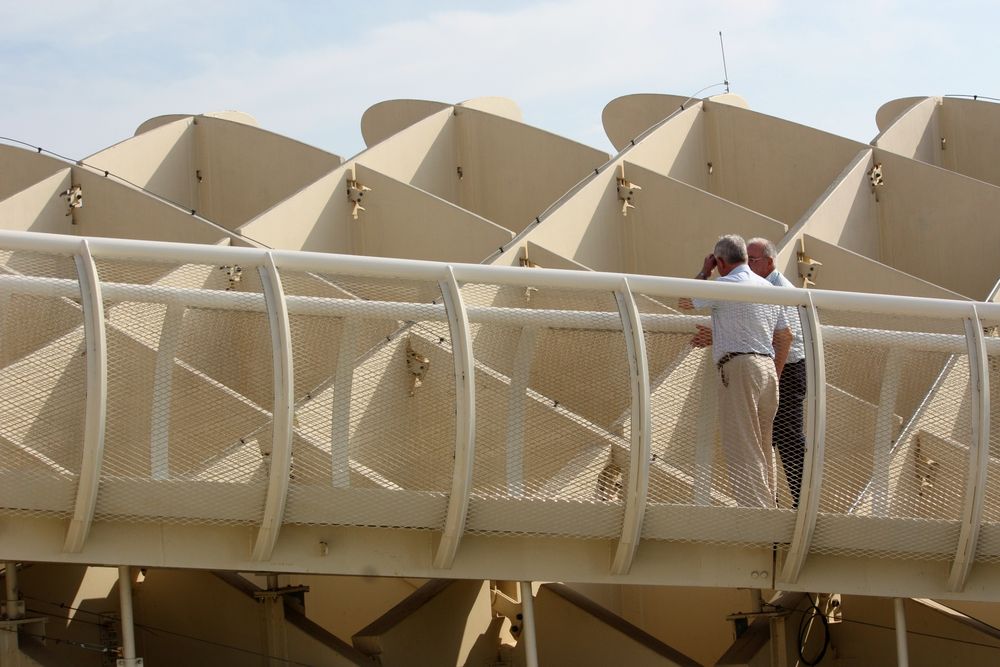 dos jubilados en las setas