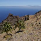 Dos palmeras y La Palma