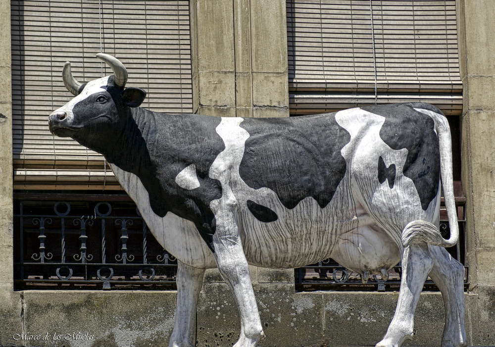 ...dos ventanas y una vaca..