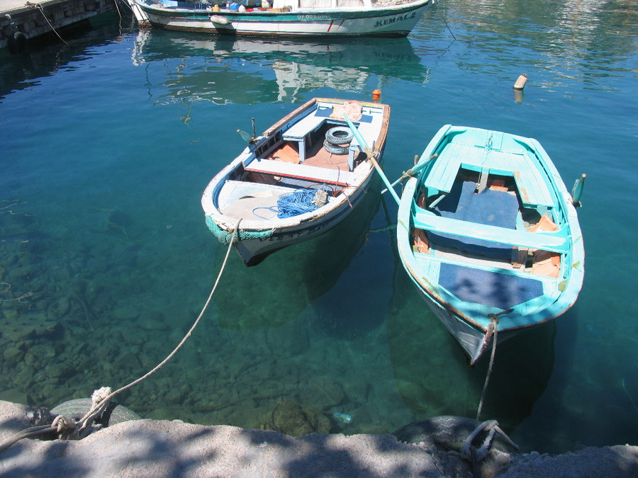 Dose im Wasser mit zwei Booten und Spiegelung im Hafen von Antalya