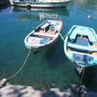 Dose im Wasser mit zwei Booten und Spiegelung im Hafen von Antalya