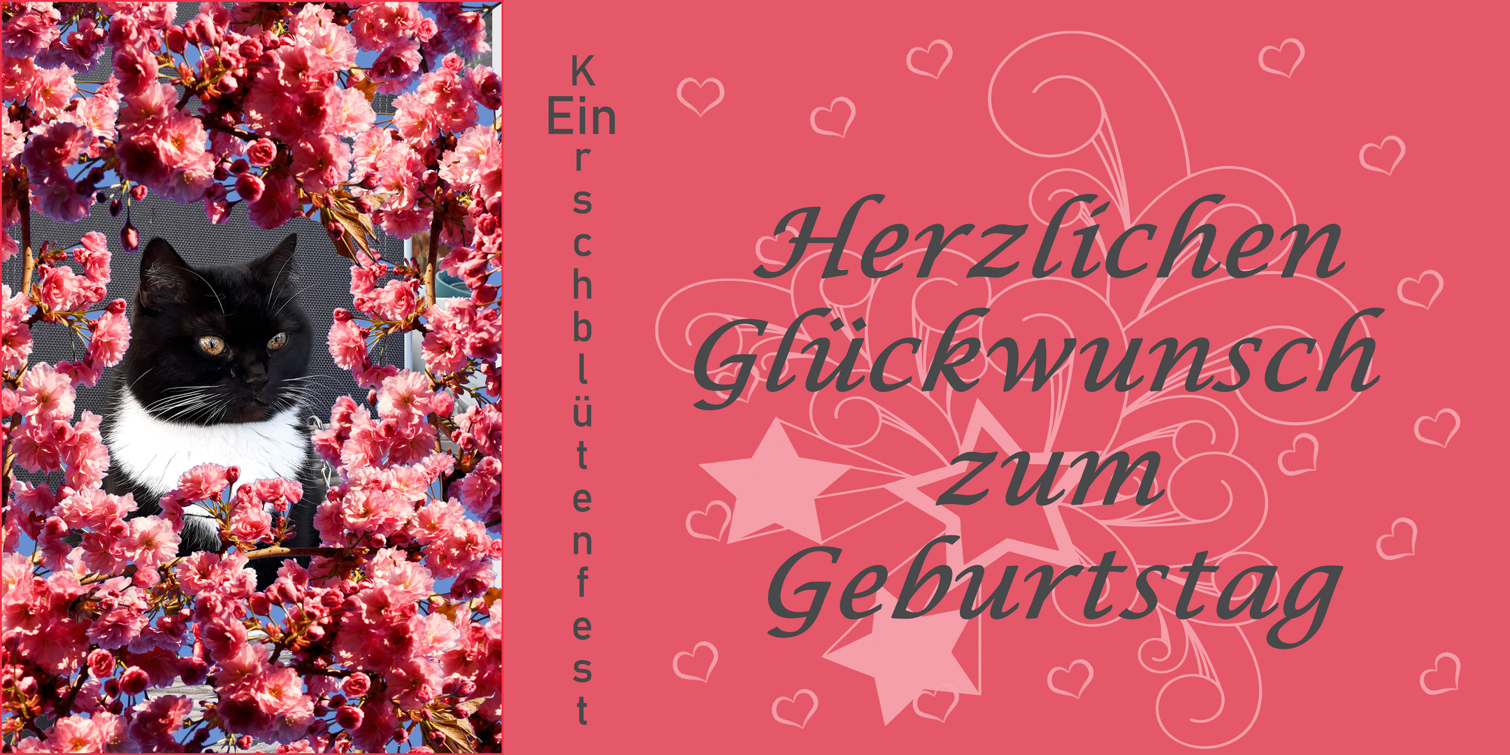 Dosiemama Astrid hat Geburtstag Foto & Bild  gratulation und feiertage, geburtstag 