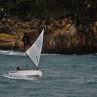 Douarnenez, régates annulées