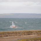 Douarnenez, régates annulées