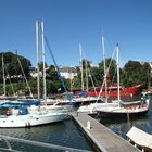 DOUARNENEZ   ST ANNE LA PALUD POINTE DECROZON  20110621 019